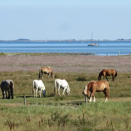 Haus Billstrasse 233 - 3