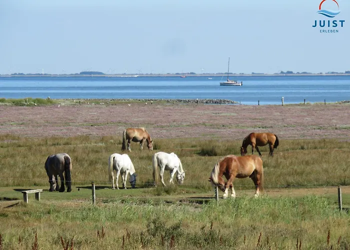 Haus Billstrasse 233 - 3