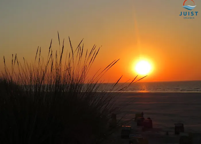 Haus Billstrasse 233 - 3 公寓 于斯德