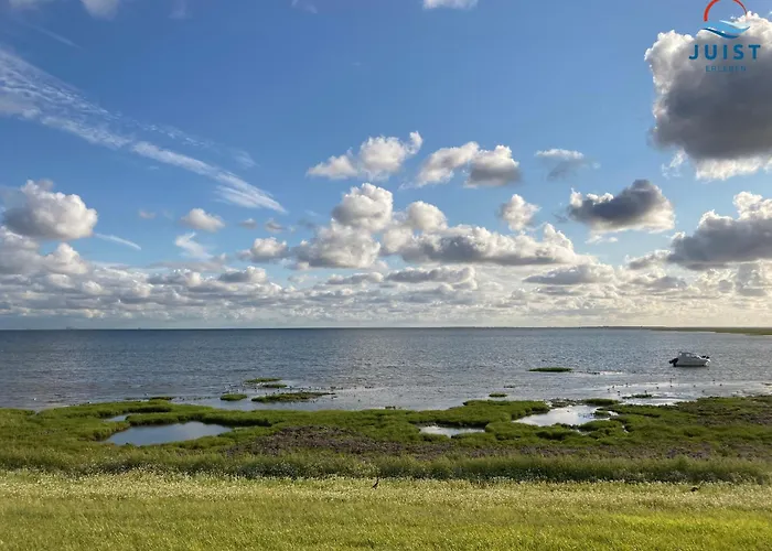 公寓 Haus Billstrasse 233 - 3 于斯德