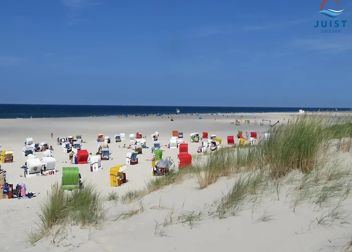 公寓 Haus Billstrasse 233 - 3 于斯德